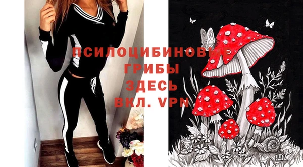 2c-b Гусев