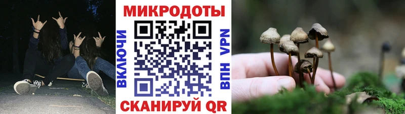 Псилоцибиновые грибы прущие грибы  Гагарин 